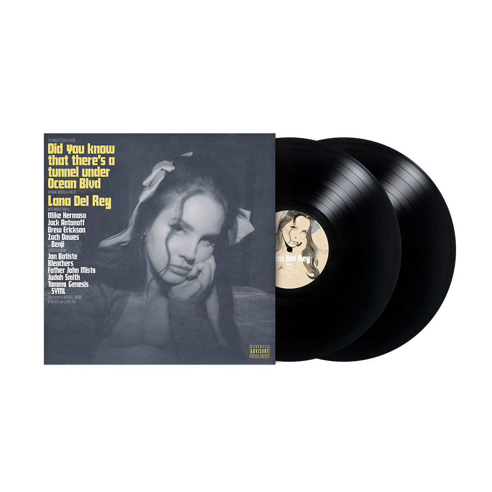 Did You Know That There s A Tunnel Under Ocean Blvd Standard Vinyl Did you know that there s a tunnel under ocean blvd standard vinyl
